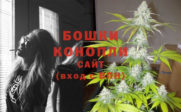 гидропоника Няндома