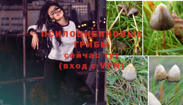 твердый Алзамай