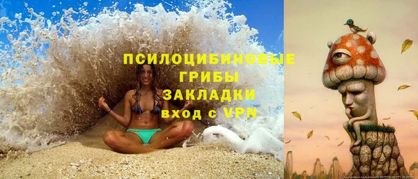 крисы Нягань