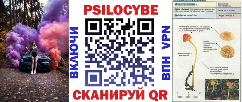 мега как войти  shop состав  Галлюциногенные грибы Cubensis  Межгорье 